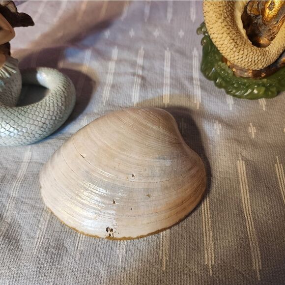 DECOUPAGE CLAM SHELL WITH FLOWERS - Picture 7 of 7